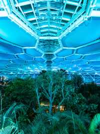 Bucheon Lake Botanic Park สวนพฤกศาสตร์ฟีลอวกาศ
