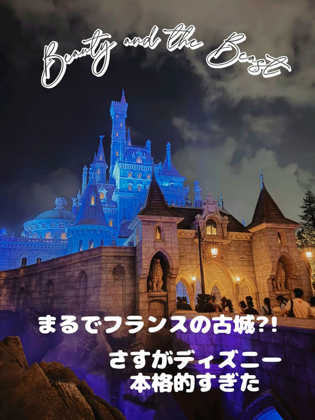 【ディズニー攻略】美女と野獣の攻略法🤍