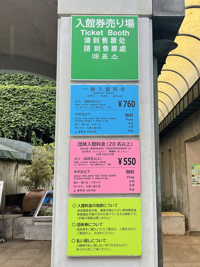 【沖縄 本部】雨の日でも楽しめるオススメSPOT🌸