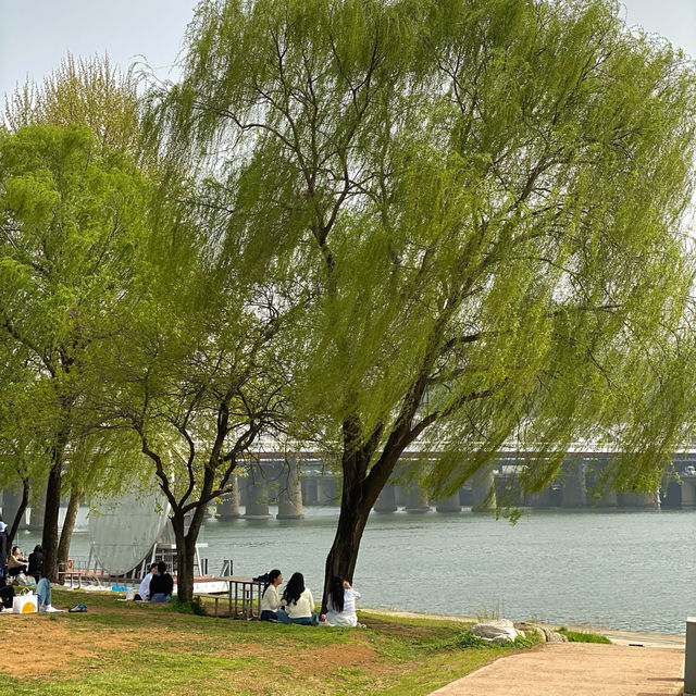 서울 피크닉명소 노들섬🏝️편의시설 잘되있는 복합문화공간 추천