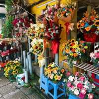 Discover the Magic of Hanoi Street