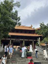 【大自然之旅】仙湖植物園：適合現在前往！