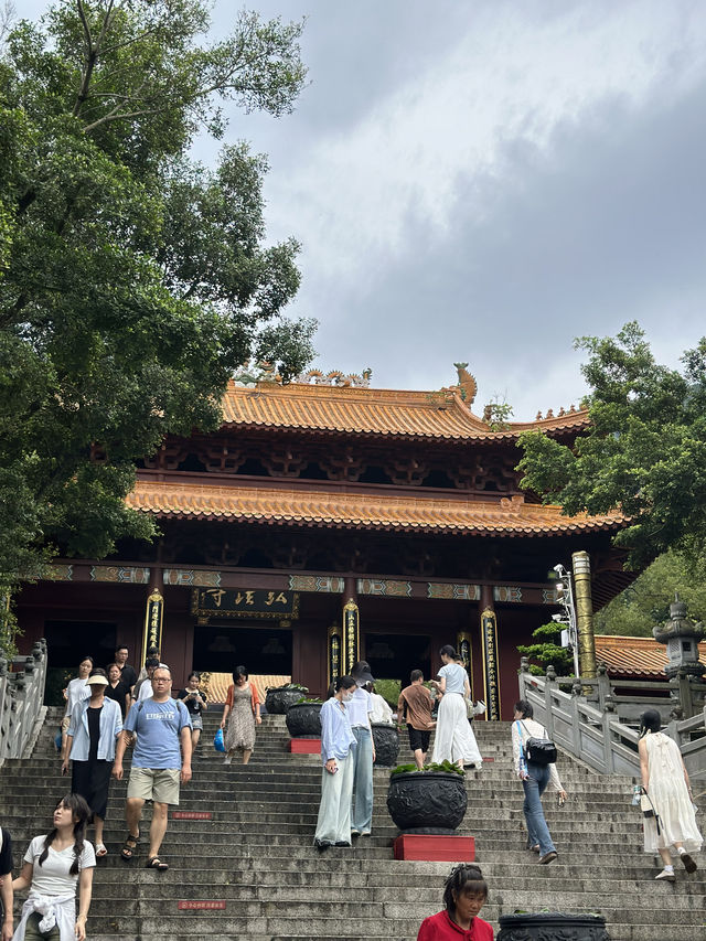 【大自然之旅】仙湖植物園：適合現在前往！