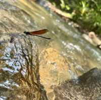 RKCG - Rumah Kebun Camping Ground: A Haven for Family Bonding