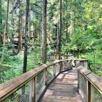 North Vancouver에 자연경관이 멋진 공원Capilano suspension Bridge Park
