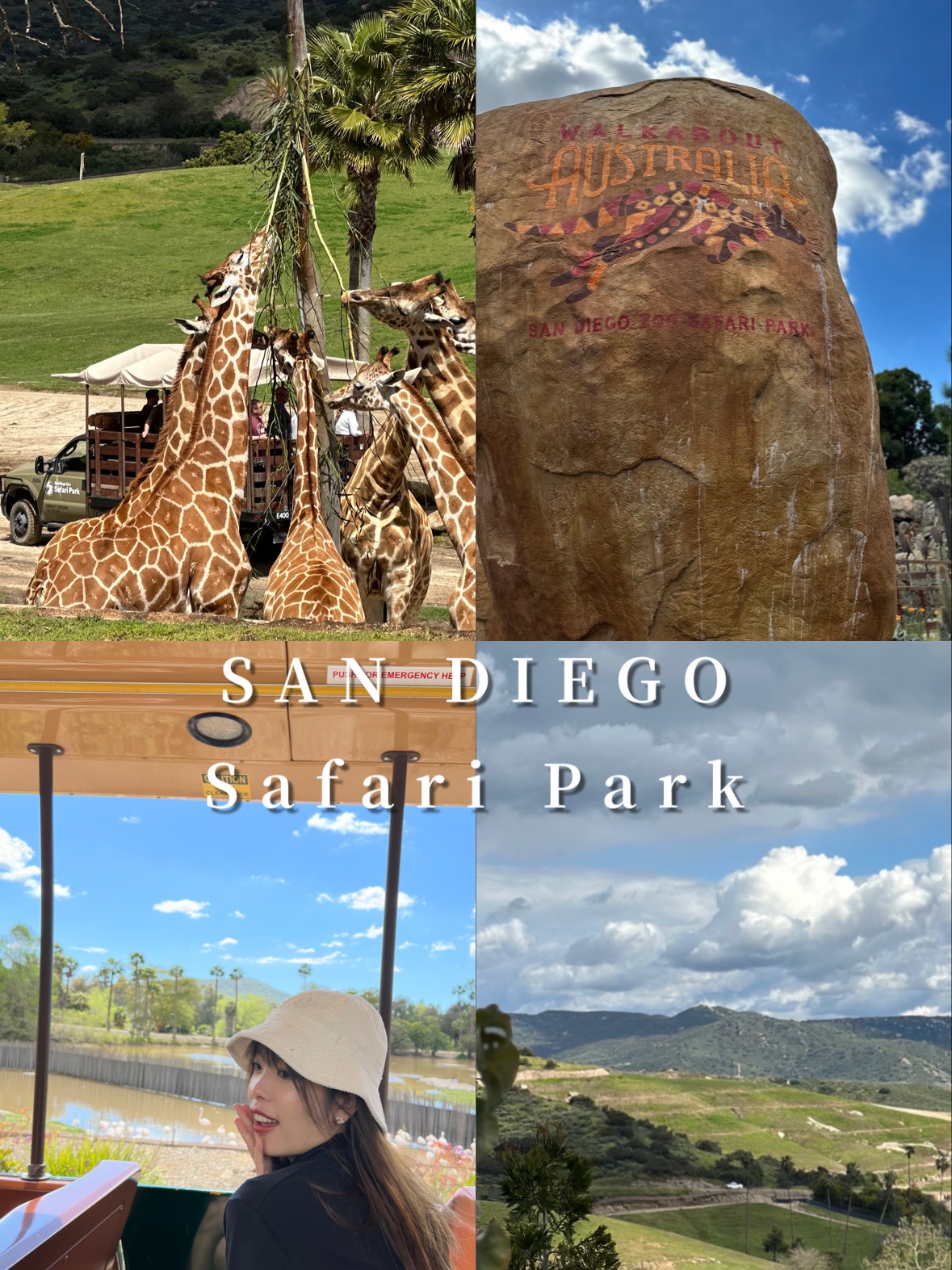 [Travel in the United States🧳] Check in at the San Diego Zoo!