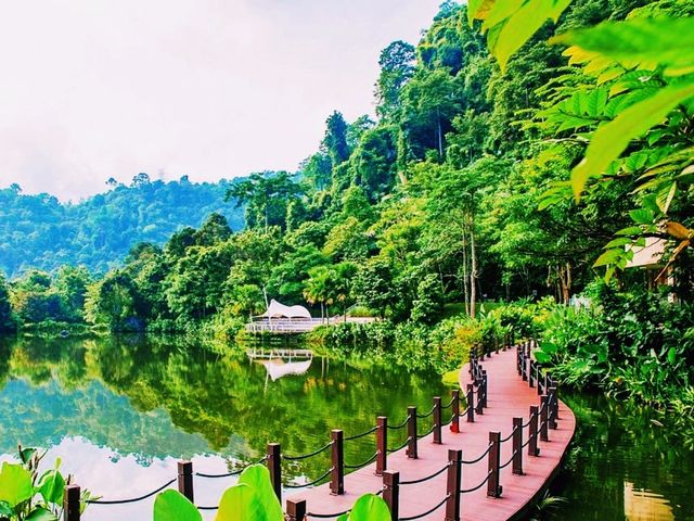 🍃 Relax at Haven Resort Ipoh
