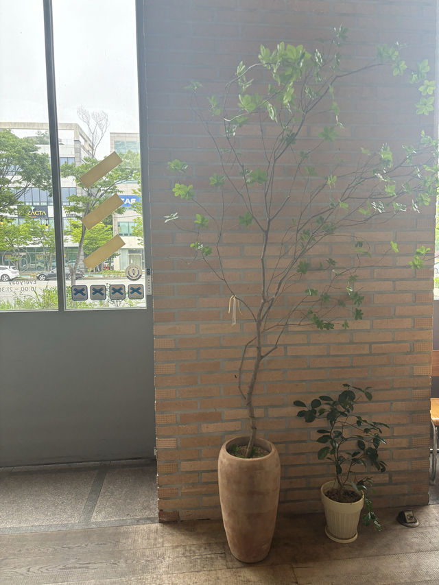 상무지구 분위기좋은 대형 감성 카페,카페304