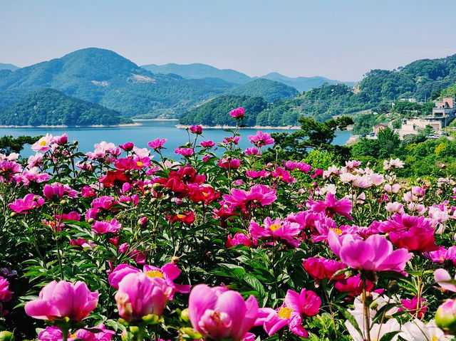 Okjeongho Lake 옥정호