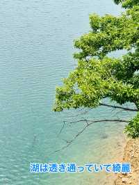 【韓国】湖に架かる吊り橋〚Majang Reservoir(マジャン湖)〛での素敵な一日✨🌤