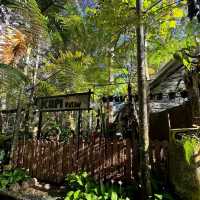 Kopi Hutan คาเฟ่ในป่าที่สูงที่สุดในปีนัง