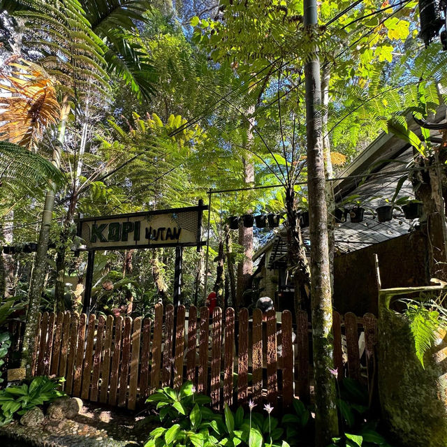 Kopi Hutan คาเฟ่ในป่าที่สูงที่สุดในปีนัง