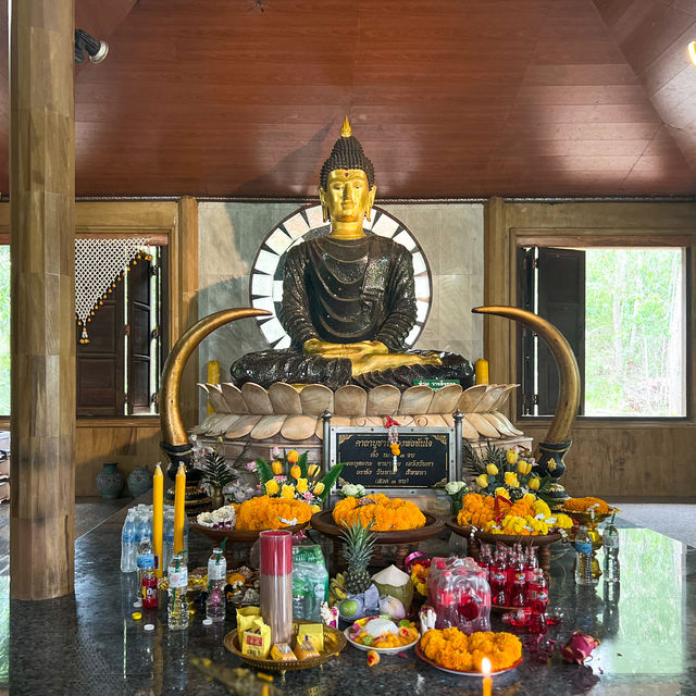 เที่ยวเขื่อนลำพระเพลิงและไหว้พระวัดป่าศรีโพธิญาณ