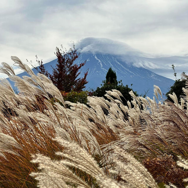 Serenity by Oishi Park Lake Kawaguchiko