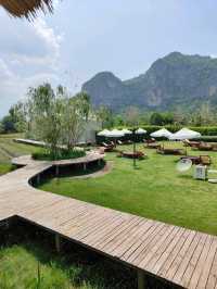 ผาม่านฝันคาเฟ่ คาเฟ่สวยวิวหลักล้าน
