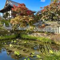 〜京都府〜穴場スポット！京都を一望新撰組ゆかりの地