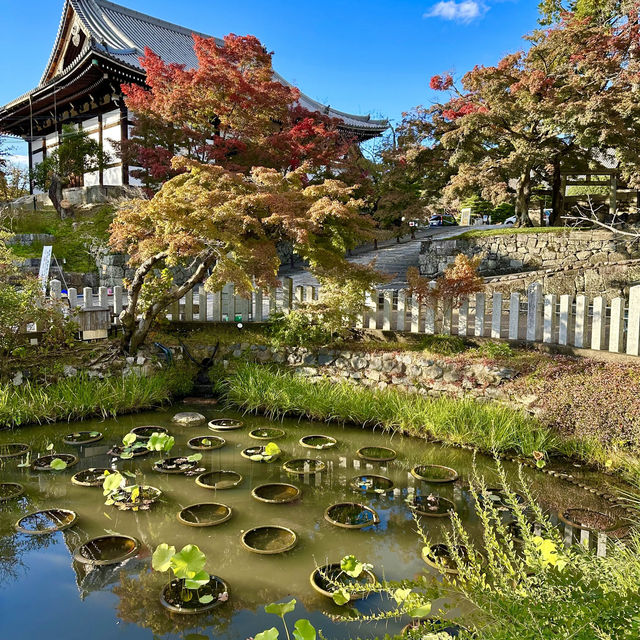 〜京都府〜穴場スポット！京都を一望新撰組ゆかりの地