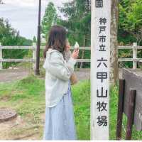 羊と触れ合える牧場🐏【兵庫/六甲】