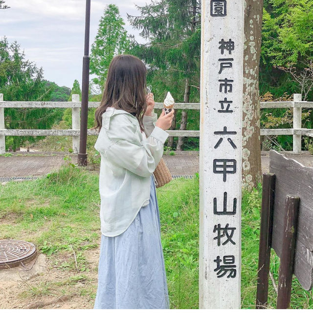 羊と触れ合える牧場🐏【兵庫/六甲】