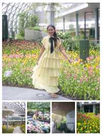 One day Trip เมืองระยองฮิ 