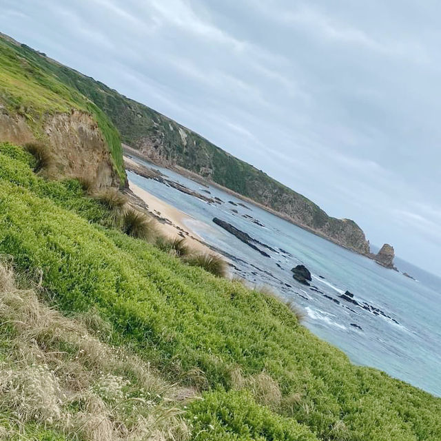 Coastal Bliss at Cape Woolamai, Phillip Island, Victoria 🇦🇺
