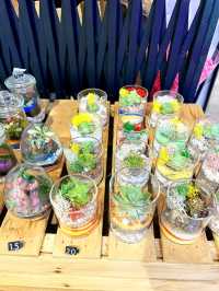 Experience The Green Capsule 