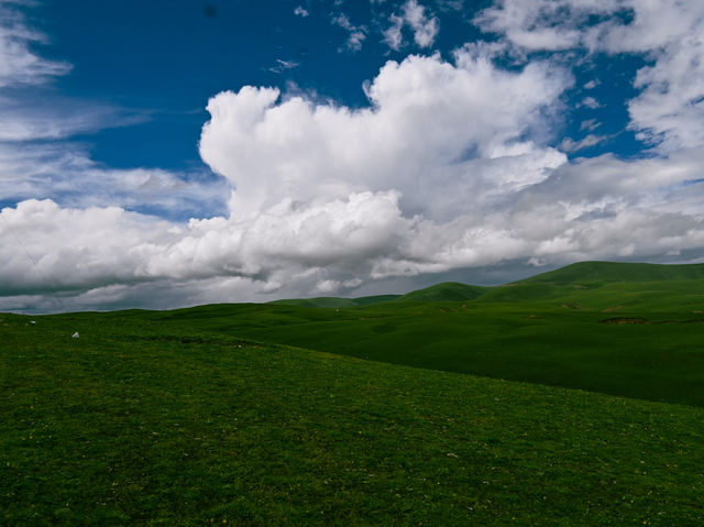 An Exhilarating Drive Across Litang Grassland