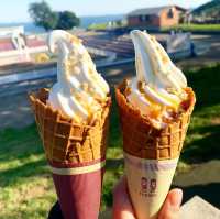 【千葉県/富津市】千葉で美味しいソフトクリームを食べたくなったら『マザー牧場』まで遠征しちゃおう🍦❤️