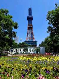 【北海道札幌市】お花が綺麗な大通公園🌷