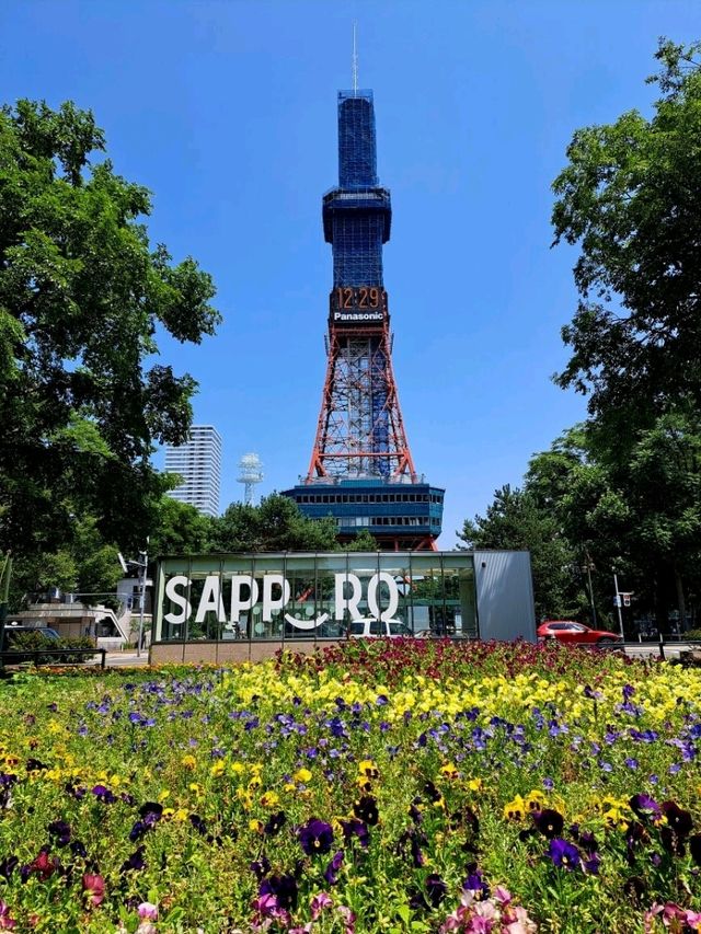 【北海道札幌市】お花が綺麗な大通公園🌷