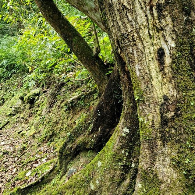 假日悠閒爬山