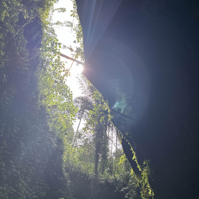 The most ENIGMATIC waterfall in Bali 🤩