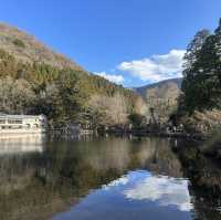 金鱗湖：湖畔神秘鳥居，由布院必遊景點