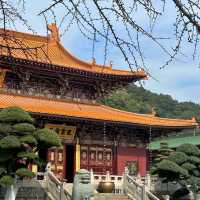 「金台寺」：古老神秘的異域世界