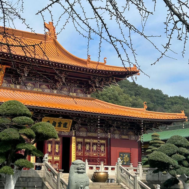 「金台寺」：古老神秘的異域世界