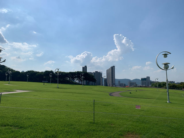 대구의 푸른 쉼터, 두류공원