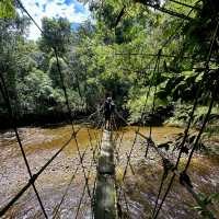 Into the Heart of Borneo: Conquering the RM100 Challenge