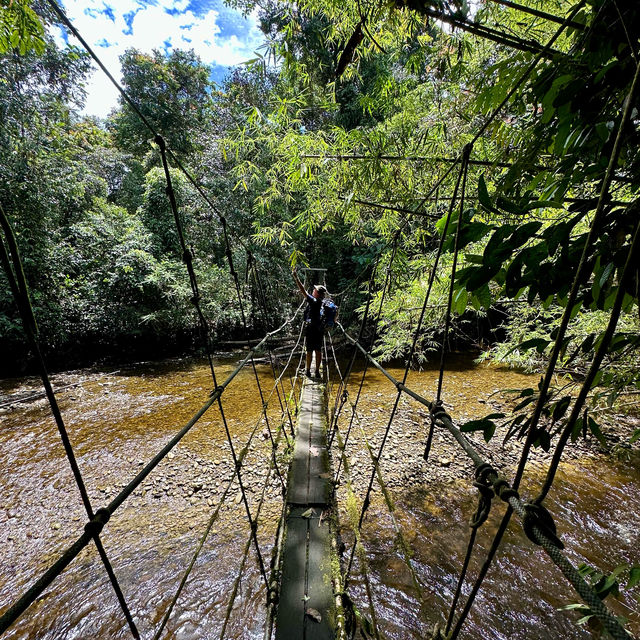 Into the Heart of Borneo: Conquering the RM100 Challenge
