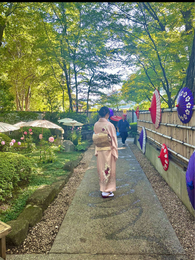 〜東京都〜ここ東京⁉︎穴場スポットぼたん苑