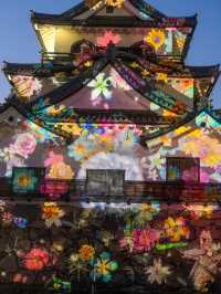 〜滋賀県〜彦根城ライトアップ✨花に包まれるpjマッピング