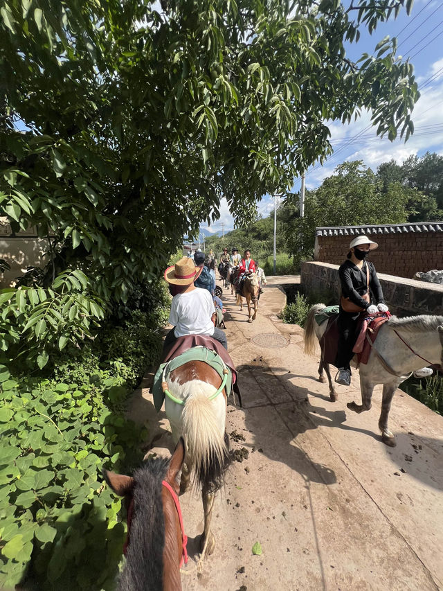 到麗江拉市海騎馬做一日馬幫｜體驗茶馬古道