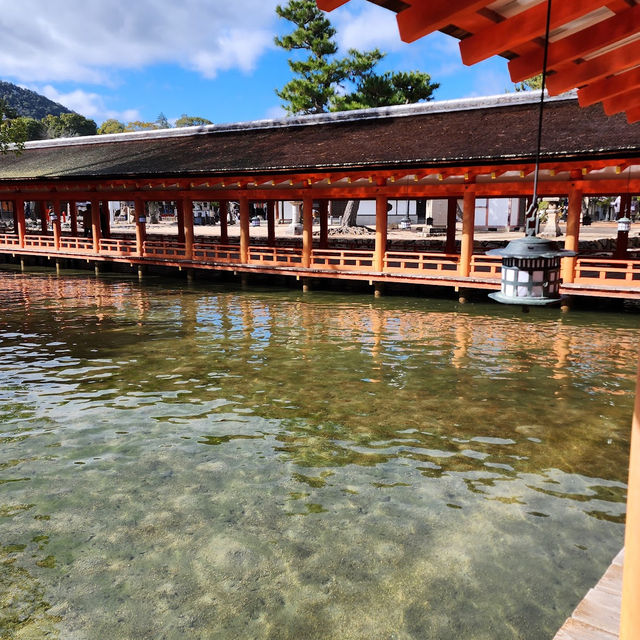 【宮島】神聖島，理想旅遊目的地