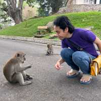Make new friends 