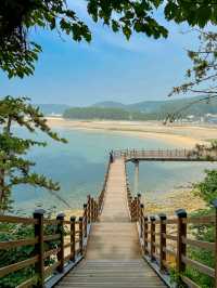 태안 해안산책로 뭍닭섬 산책로 !