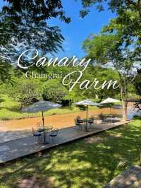 Canary farm cafe & restaurant (Chaingrai)