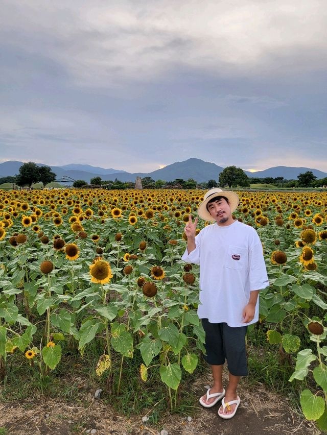 첨성대와 해바라기는 사랑입니다