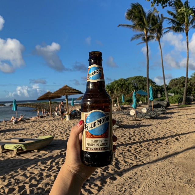 태펴양의 보석, 지상낙원 하와이🌴