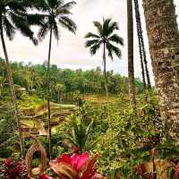 Bali, Indonesia: The Perfect Solo Escape