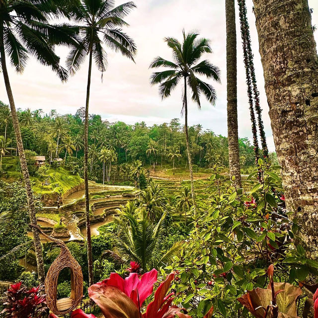 Bali, Indonesia: The Perfect Solo Escape