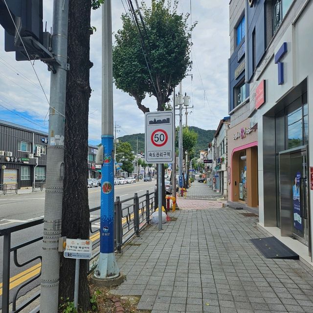충북의 한적한 도시 음성 읍내투어♡